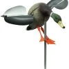 Outdoor Outfitters 18.5in Mallard Wind Driven Landing Decoy
