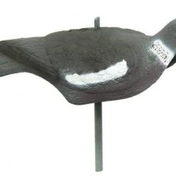 Outdoor Outfitters Pigeon Shell Decoy 16in