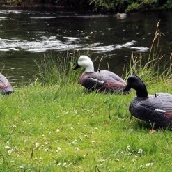 Outdoor Outfitters 18in Foam Paradise Shell With Heavy Duty Steel Field Stakes